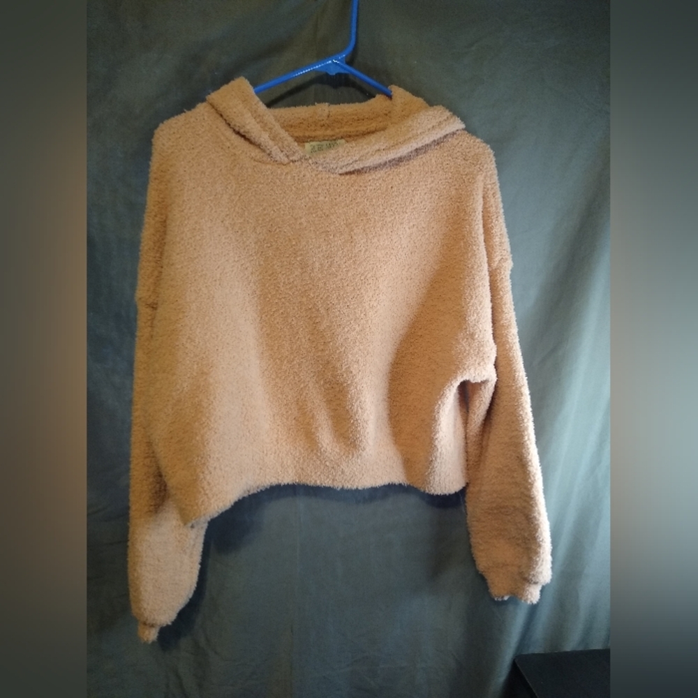 Cozy Ruby Moon Tan Active Cropped Hooded Sweater